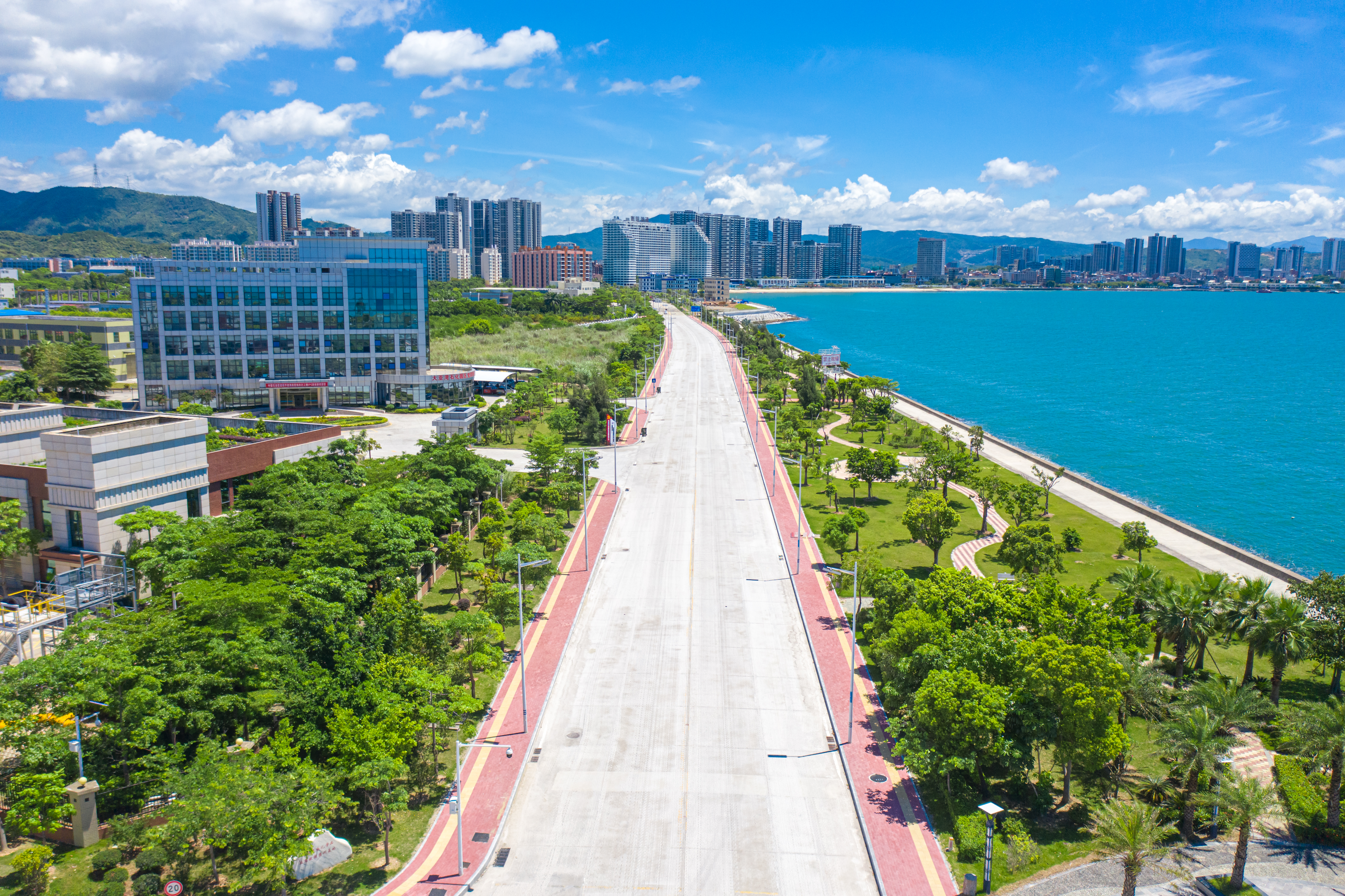 大亞灣石化區石化大道等道路